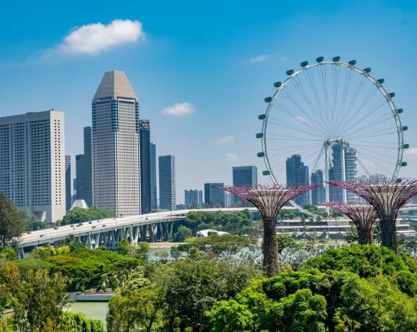 standard-singapore-package-image-mms-travel