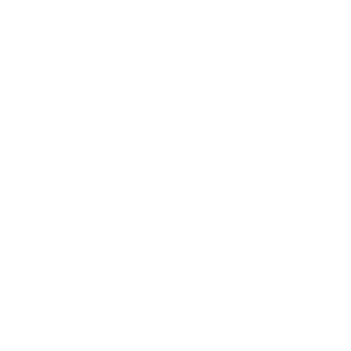 fly-icon